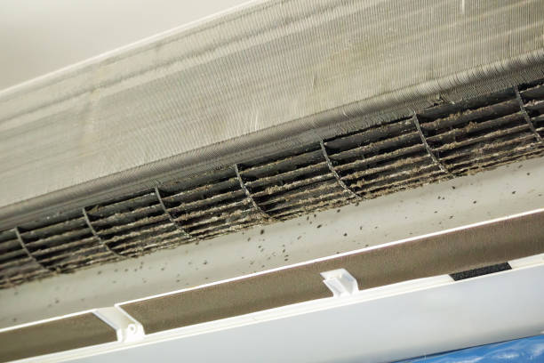 Best Affordable Duct Cleaning Services  in Hendersonville, TN